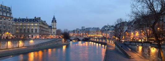 Pont Neuf panorama