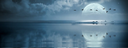 Full moon reflections
