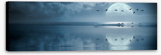 Full moon reflections