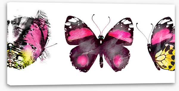 Butterflies