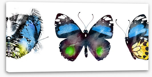Butterflies