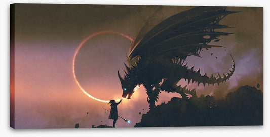 Taming the dragon