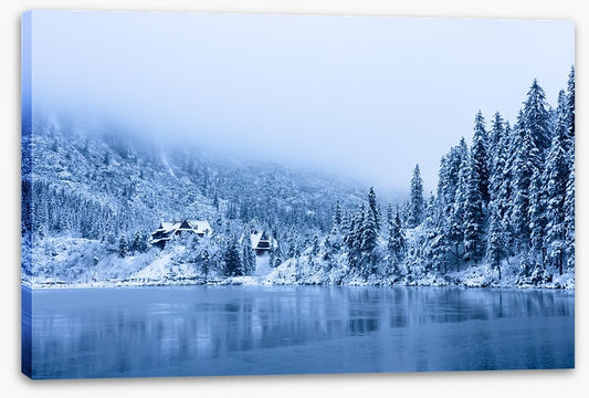 Peeking through winter