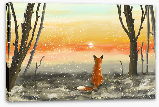 Golden sunset fox