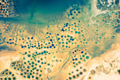 Above the salt farm