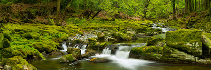 Green rock river