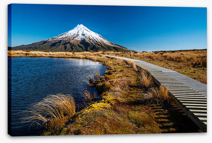 Track to Mt. Taranaki