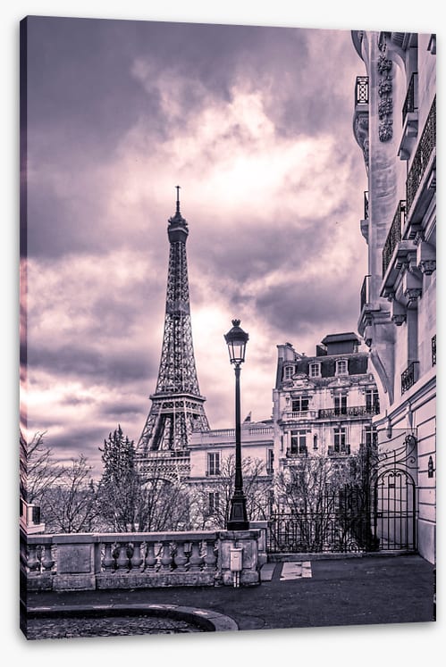 Purples of Paris