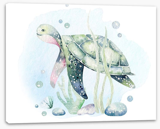 Softly softly sea turtle