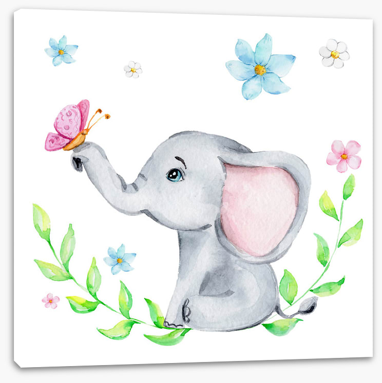 Elephants
