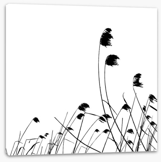 Blowing in the breeze