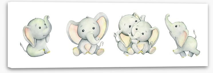 Little elephant panoramic