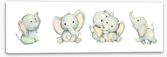 Little elephant panoramic