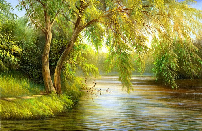 Summer lake