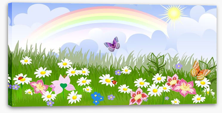 Rainbow meadow