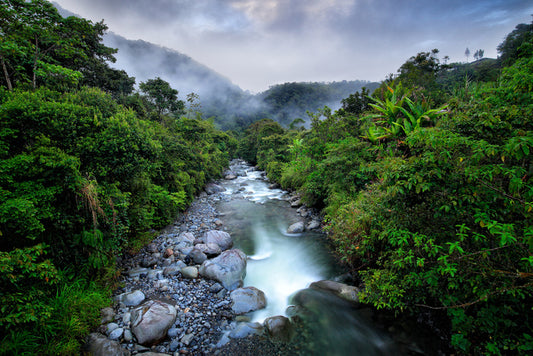 South America