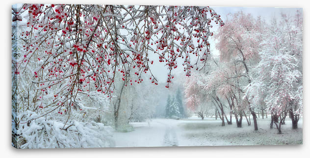 Behind the berries