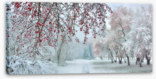 Behind the berries