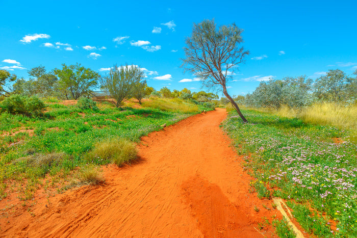 Red earth spring
