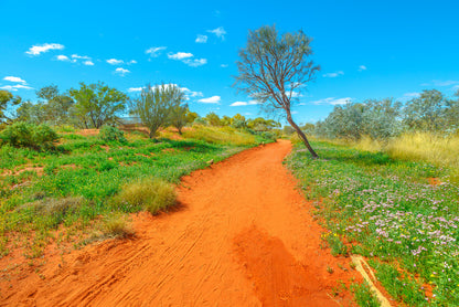 Red earth spring