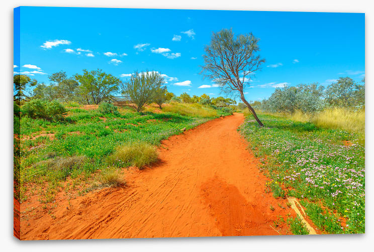 Red earth spring