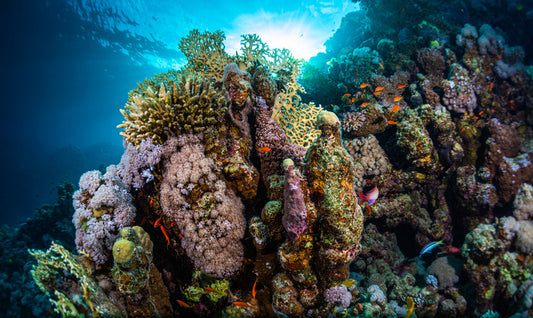 Underwater