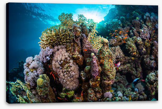 Underwater