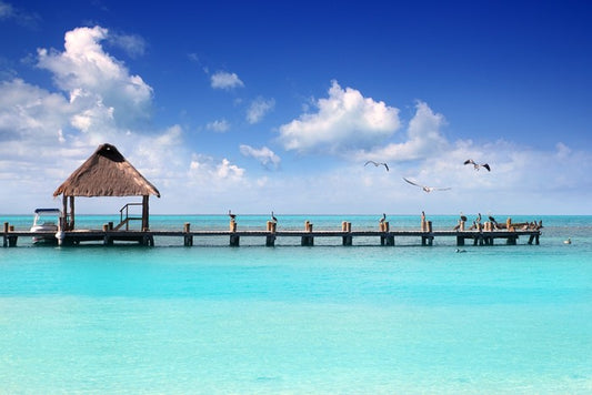 Pelican jetty, Isla Contoy