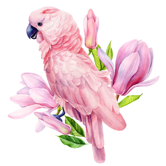 Pink parrot magnolia
