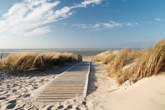 Boardwalk to the beach
