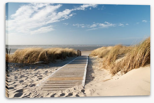 Boardwalk to the beach