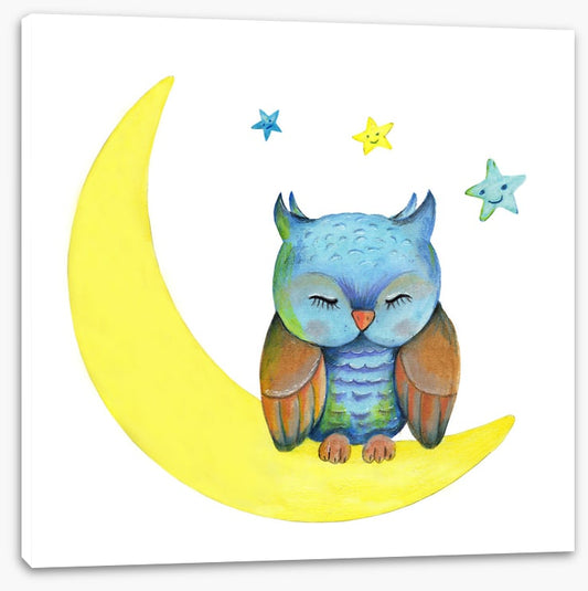 Owls