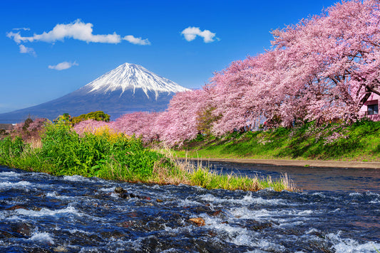 Flowing to Mt Fuji