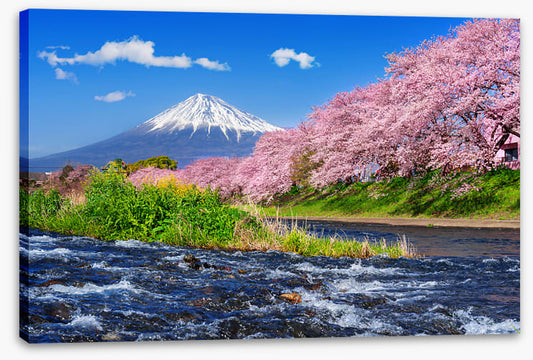 Flowing to Mt Fuji