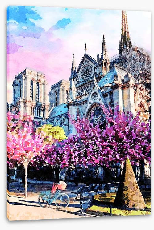 Notre Dame sunlight