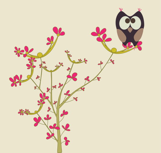 Owls