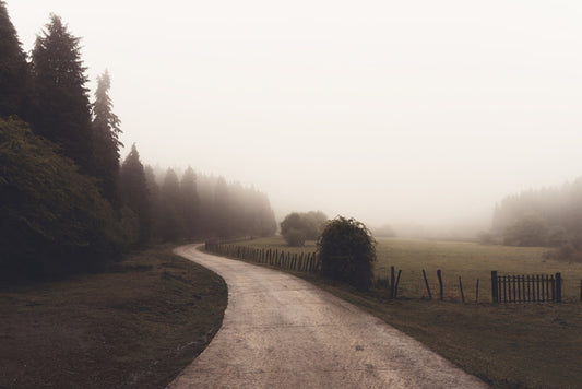 Way through winter