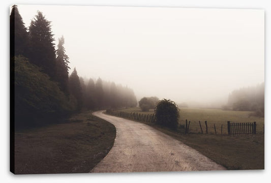 Way through winter