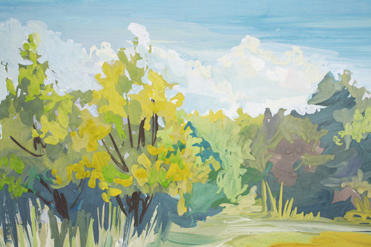 Landscapes
