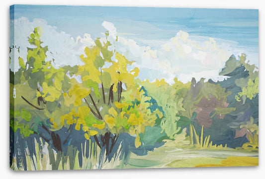 Landscapes