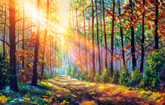 The sunbeam path