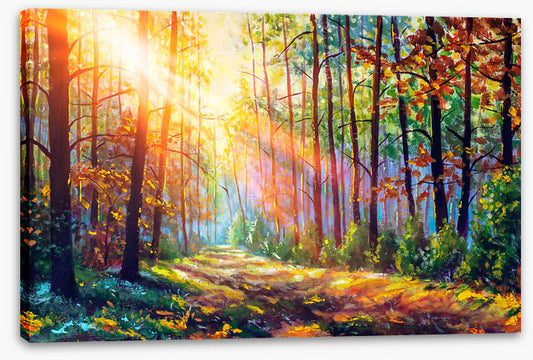 The sunbeam path