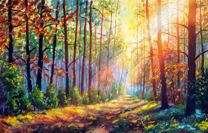The sunshine path
