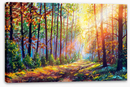 The sunshine path