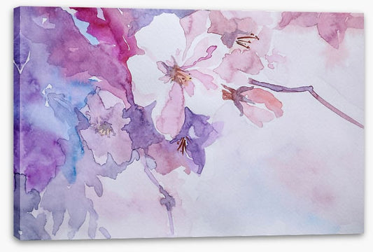 Rosemallow 2