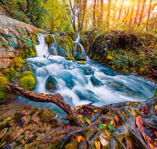 Falling into autumn