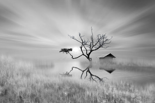 The land of dreams