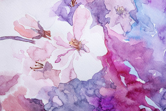 Rosemallow 1