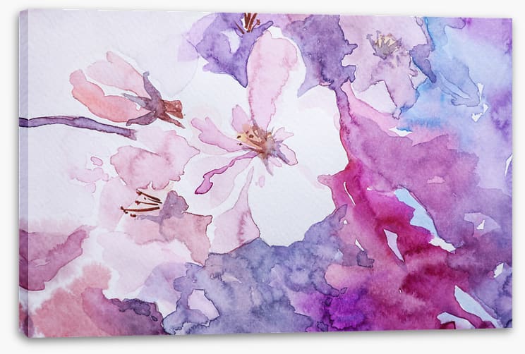 Rosemallow 1