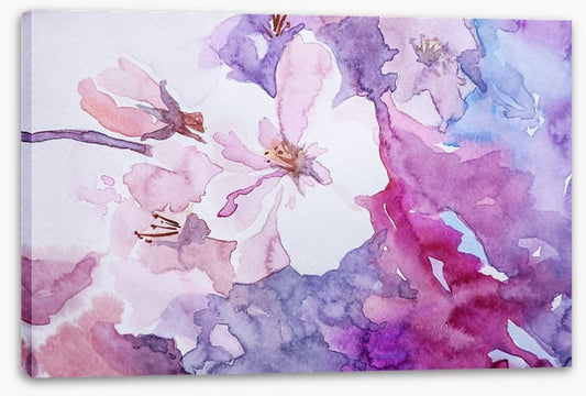 Rosemallow 1